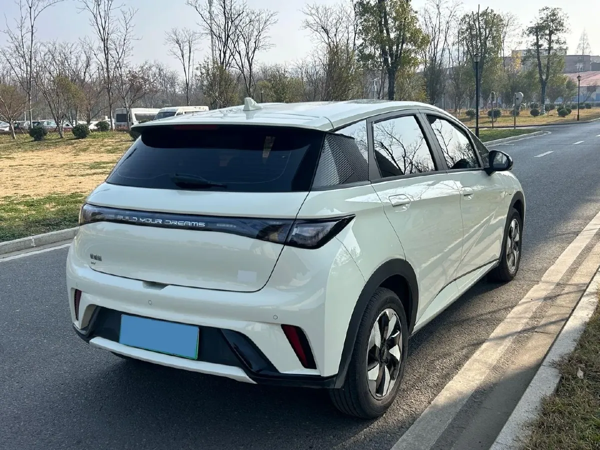 2025 BYD Dolphin BEV 44.928KWH,autocango,china used car exporter,china ev exporter,chinese used car exporter,chinese used ev exporter