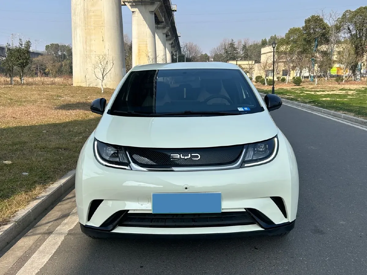 2025 BYD Dolphin BEV 44.928KWH,autocango,china used car exporter,china ev exporter,chinese used car exporter,chinese used ev exporter