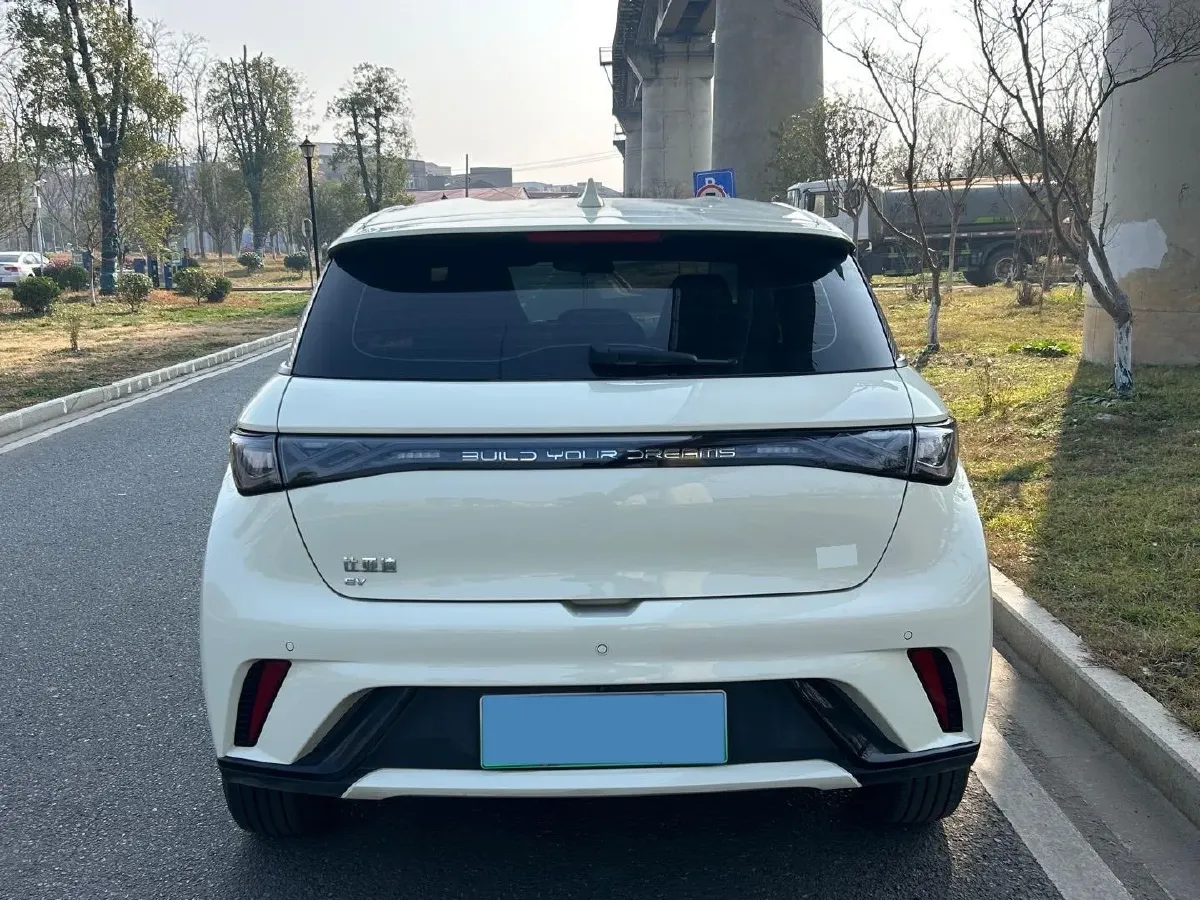 2025 BYD Dolphin BEV 44.928KWH,autocango,china used car exporter,china ev exporter,chinese used car exporter,chinese used ev exporter