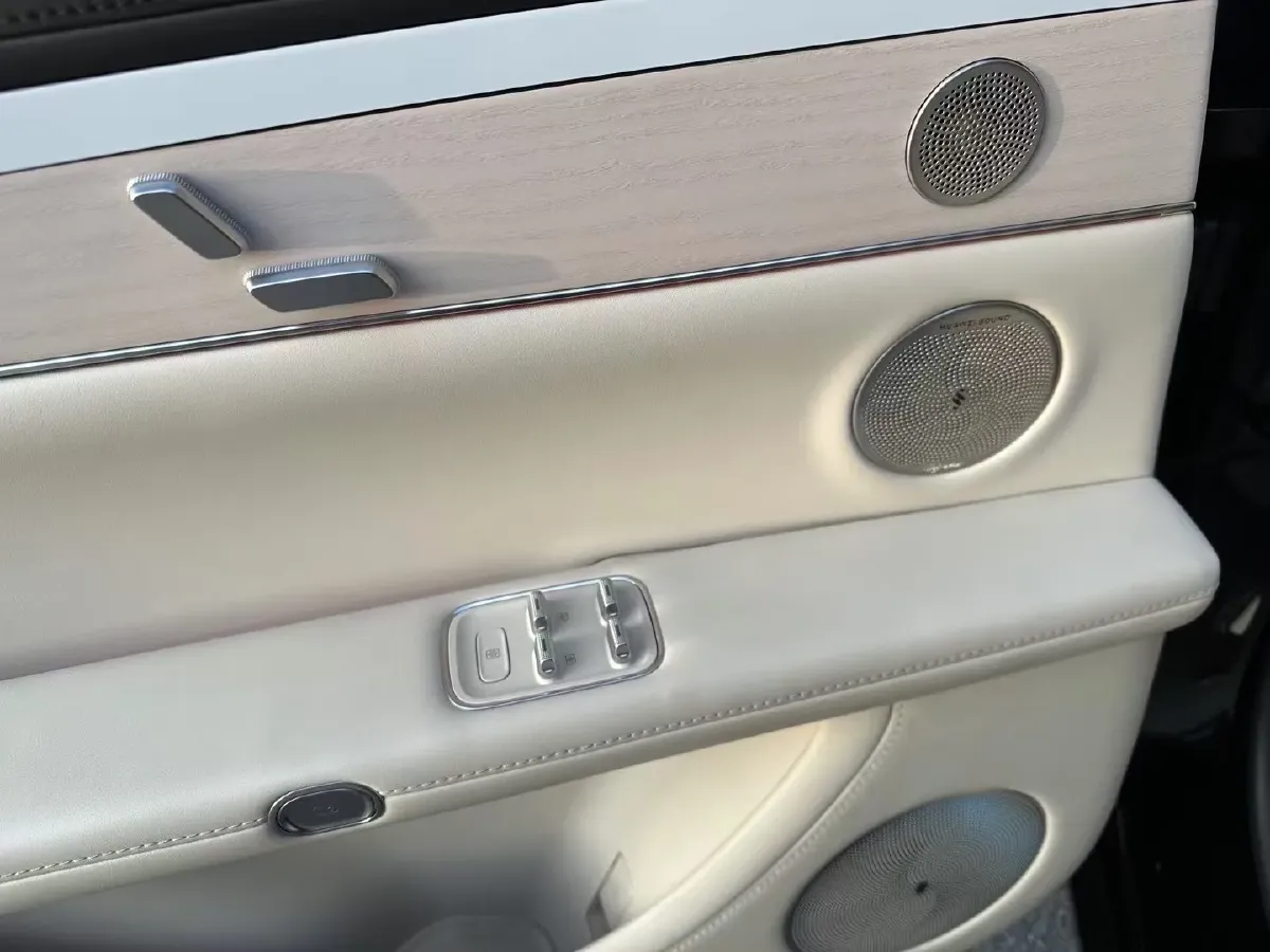 2024 HIMA Stelato S9 BEV 100KWH,autocango,china used car exporter,china ev exporter,chinese used car exporter,chinese used ev exporter