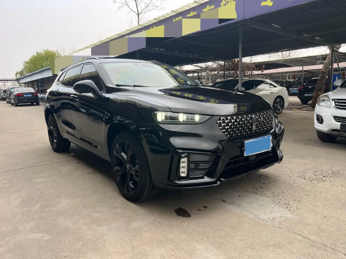 2020 WEY VV7 2.0T 227HP L4 7DCT,autocango,china used car exporter,china ev exporter,chinese used car exporter,chinese used ev exporter