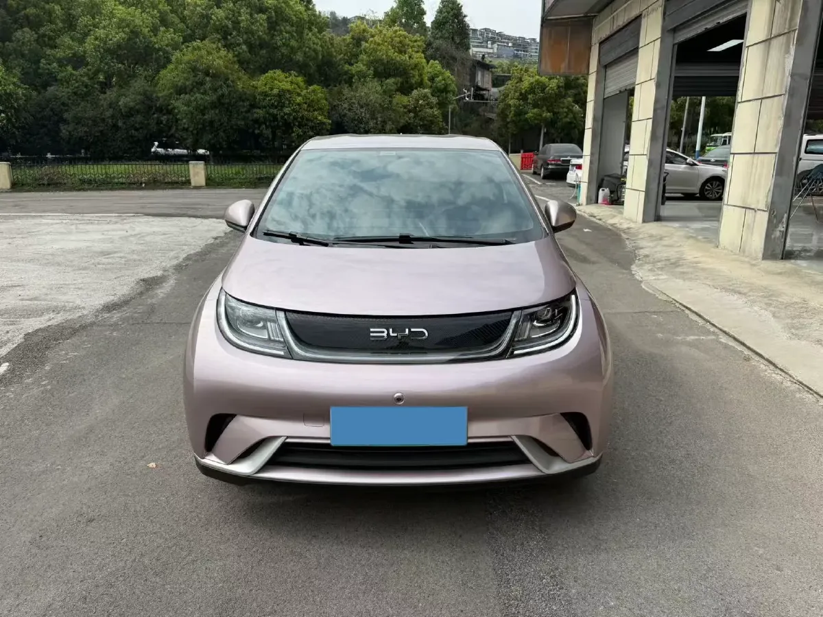 2024 BYD Dolphin BEV 44.928KWH,autocango,china used car exporter,china ev exporter,chinese used car exporter,chinese used ev exporter