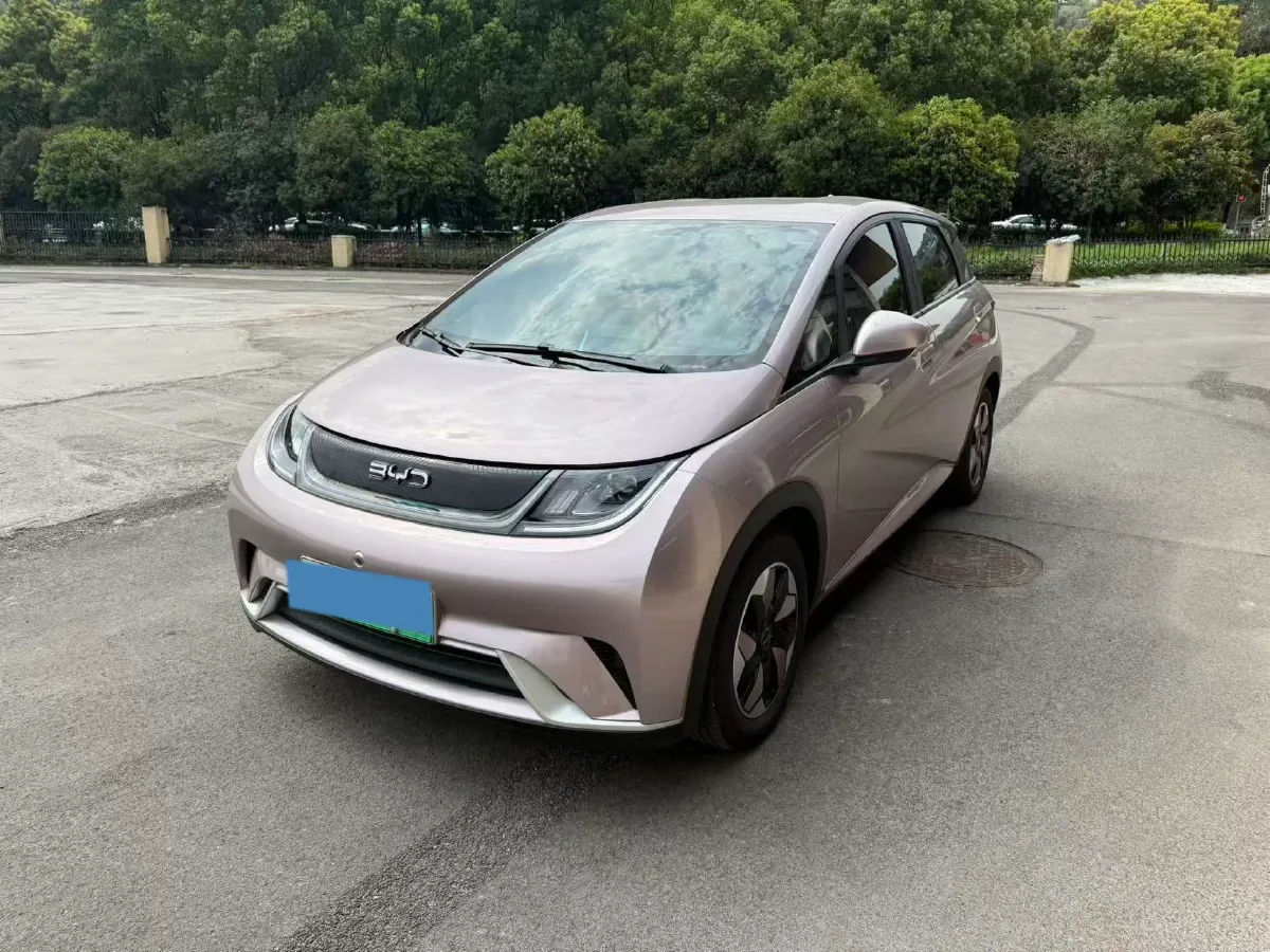 2024 BYD Dolphin BEV 44.928KWH,autocango,china used car exporter,china ev exporter,chinese used car exporter,chinese used ev exporter