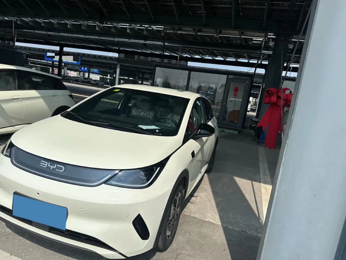 2025 BYD Dolphin BEV 45.12KWH,autocango,china used car exporter,china ev exporter,chinese used car exporter,chinese used ev exporter