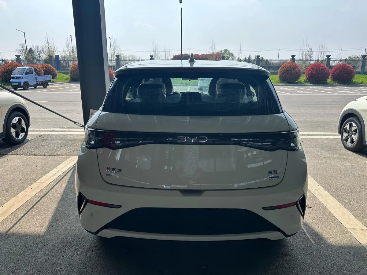 2025 BYD Dolphin BEV 45.12KWH,autocango,china used car exporter,china ev exporter,chinese used car exporter,chinese used ev exporter