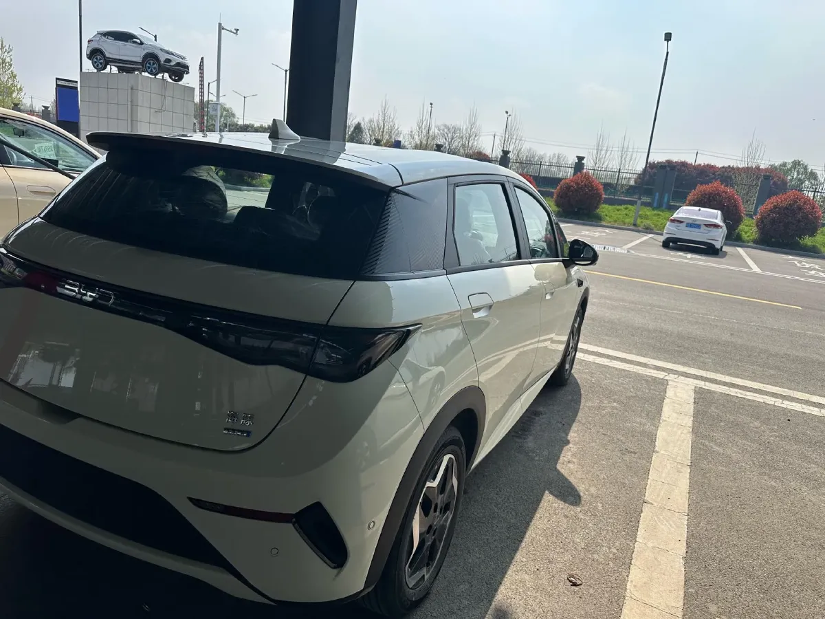 2025 BYD Dolphin BEV 45.12KWH,autocango,china used car exporter,china ev exporter,chinese used car exporter,chinese used ev exporter