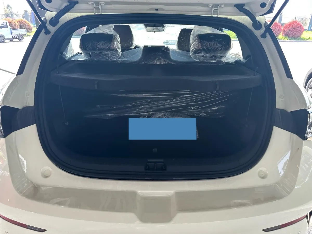 2025 BYD Dolphin BEV 45.12KWH,autocango,china used car exporter,china ev exporter,chinese used car exporter,chinese used ev exporter