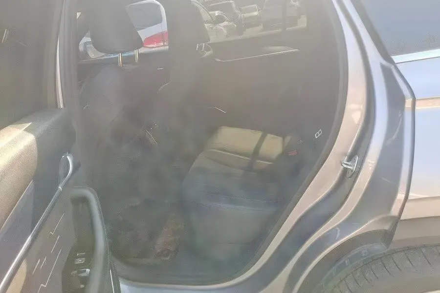 2024 Geely Monjaro 2.0T 238HP L4 8AT,autocango,china used car exporter,china ev exporter,chinese used car exporter,chinese used ev exporter