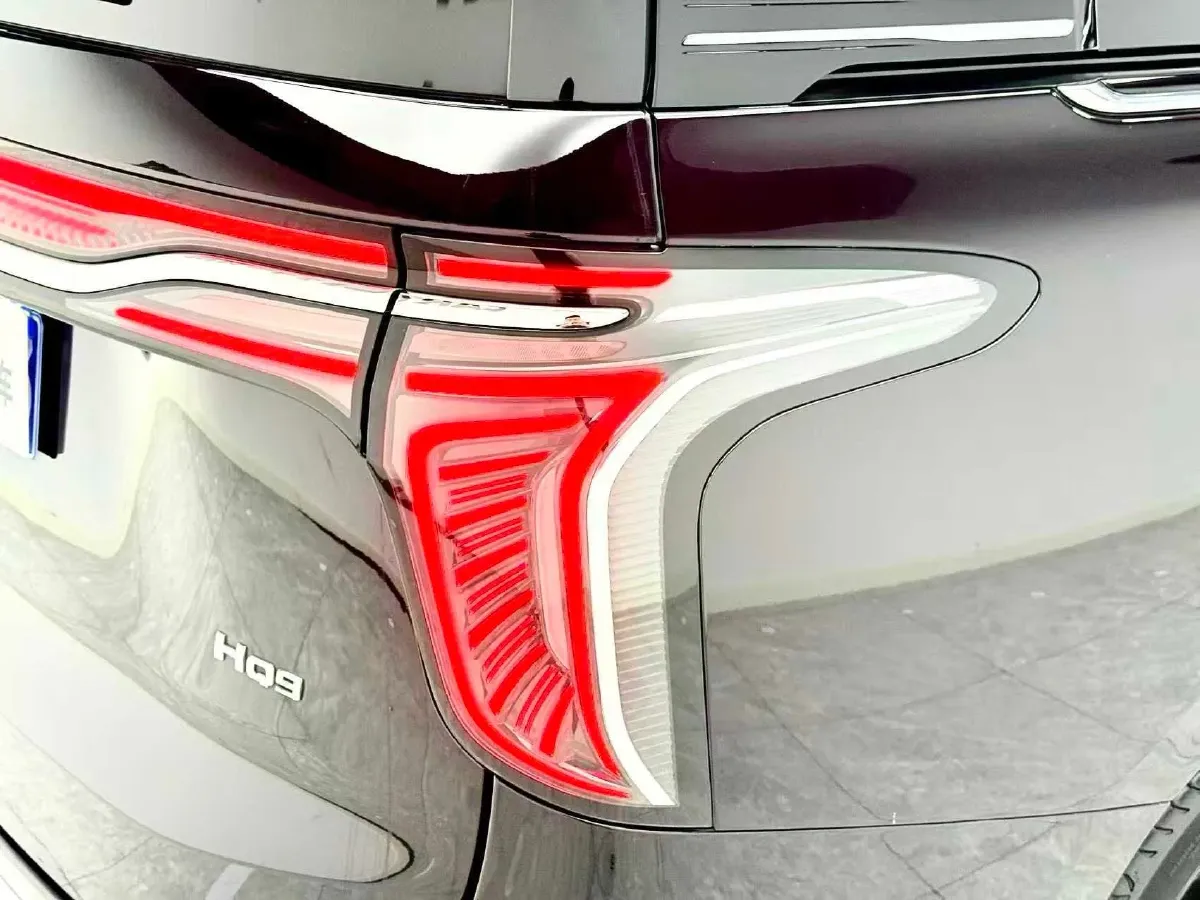 2023 HongQi HQ9 2.0T 252HP L4 8AT,autocango,china used car exporter,china ev exporter,chinese used car exporter,chinese used ev exporter