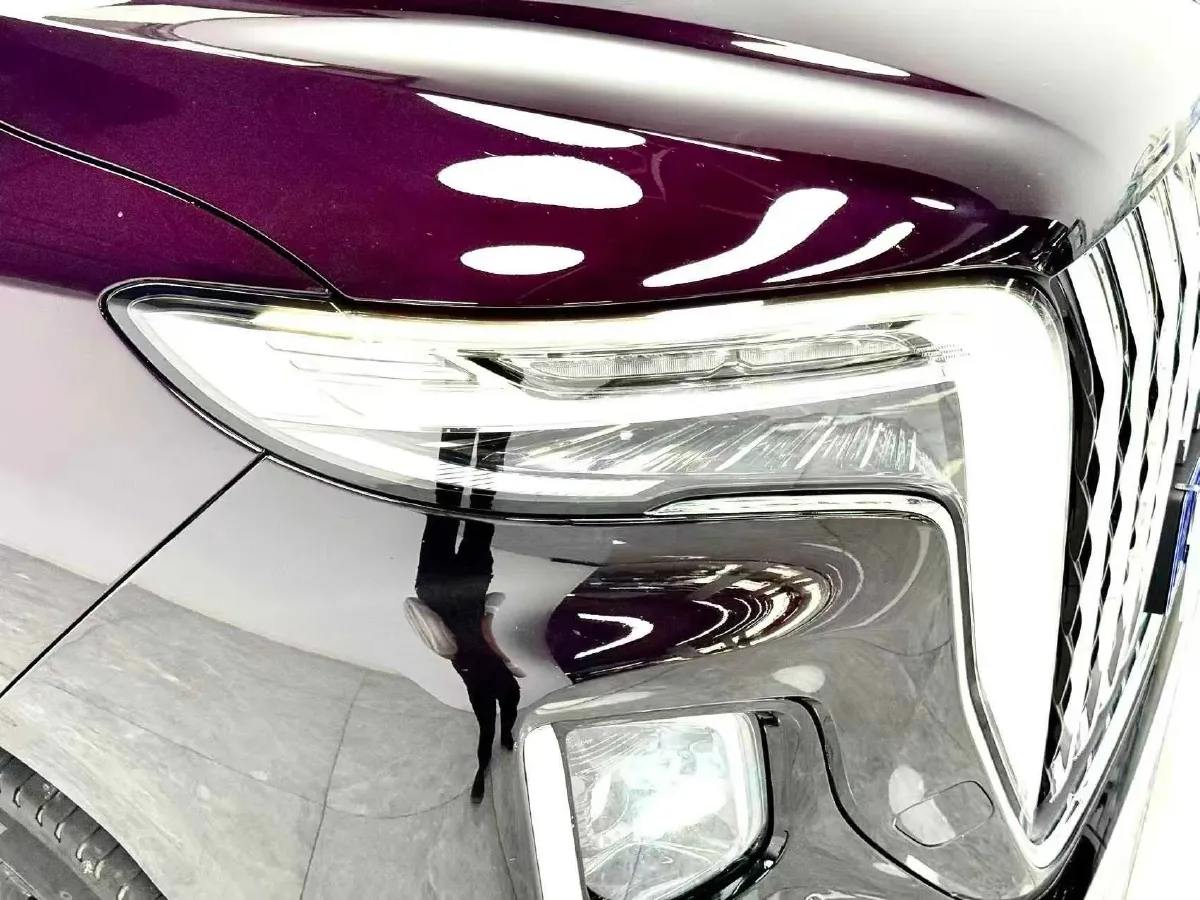 2023 HongQi HQ9 2.0T 252HP L4 8AT,autocango,china used car exporter,china ev exporter,chinese used car exporter,chinese used ev exporter