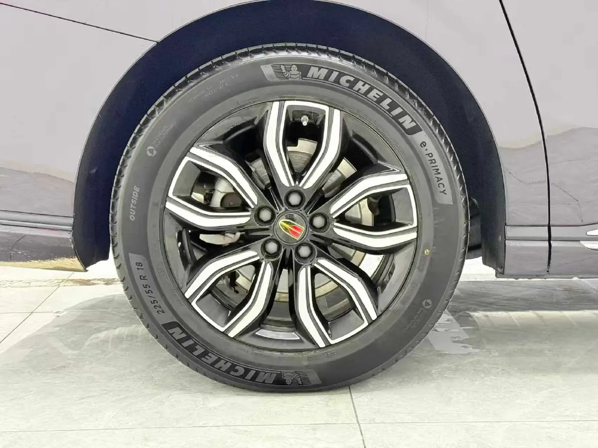 2023 HongQi HQ9 2.0T 252HP L4 8AT,autocango,china used car exporter,china ev exporter,chinese used car exporter,chinese used ev exporter