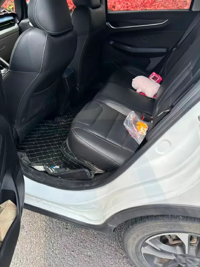 2021 WuLing Nano EV BEV 28KWH,autocango,china used car exporter,china ev exporter,chinese used car exporter,chinese used ev exporter