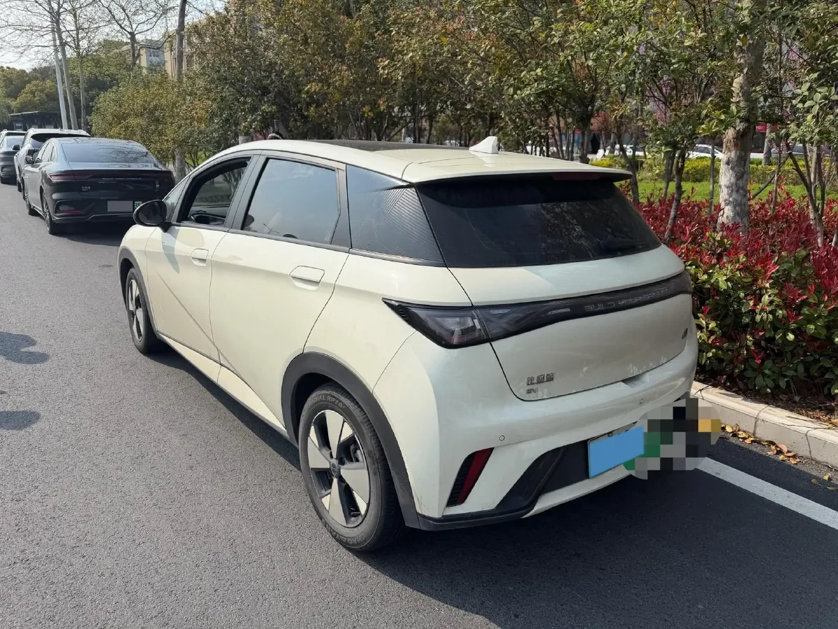 2023 BYD Dolphin BEV 44.928KWH,autocango,china used car exporter,china ev exporter,chinese used car exporter,chinese used ev exporter