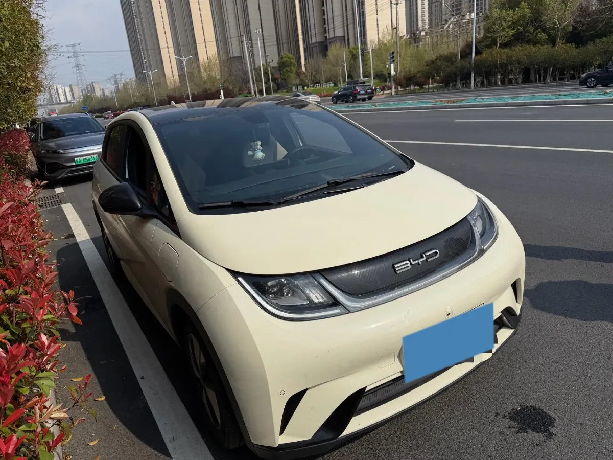 2023 BYD Dolphin BEV 44.928KWH,autocango,china used car exporter,china ev exporter,chinese used car exporter,chinese used ev exporter