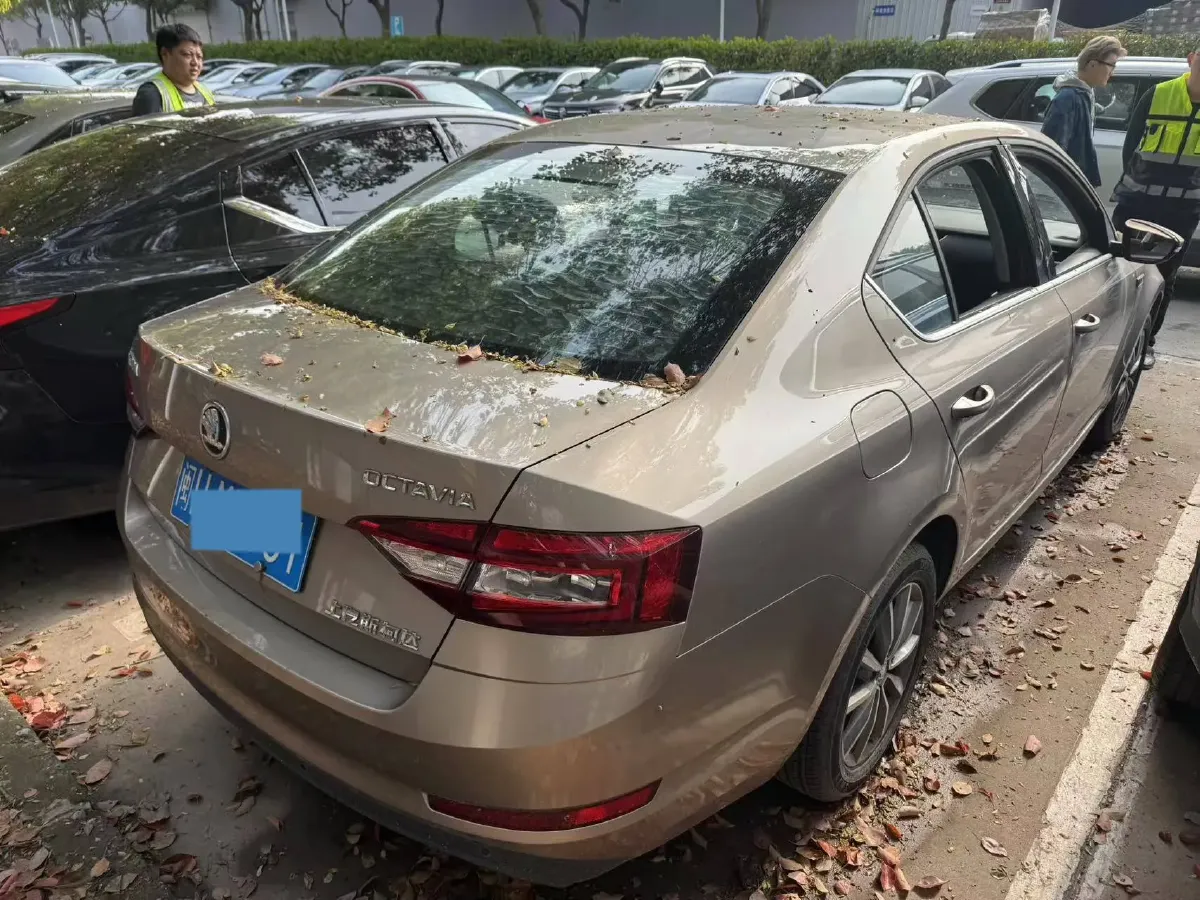 2019 Skoda Octavia 1.5L 116HP L4 6AT,autocango,china used car exporter,china ev exporter,chinese used car exporter,chinese used ev exporter