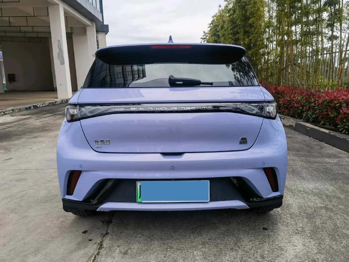 2023 BYD Dolphin BEV 44.928KWH,autocango,china used car exporter,china ev exporter,chinese used car exporter,chinese used ev exporter