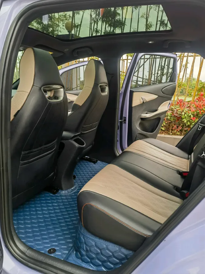 2023 BYD Dolphin BEV 44.928KWH,autocango,china used car exporter,china ev exporter,chinese used car exporter,chinese used ev exporter