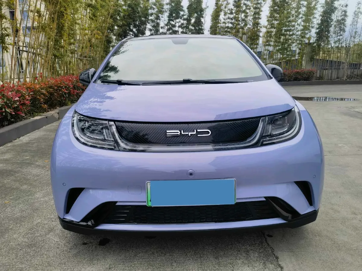 2023 BYD Dolphin BEV 44.928KWH,autocango,china used car exporter,china ev exporter,chinese used car exporter,chinese used ev exporter