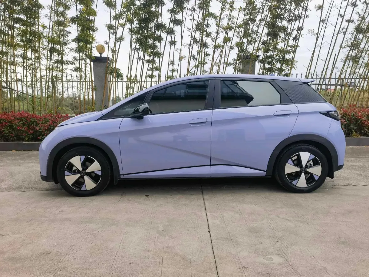 2023 BYD Dolphin BEV 44.928KWH,autocango,china used car exporter,china ev exporter,chinese used car exporter,chinese used ev exporter