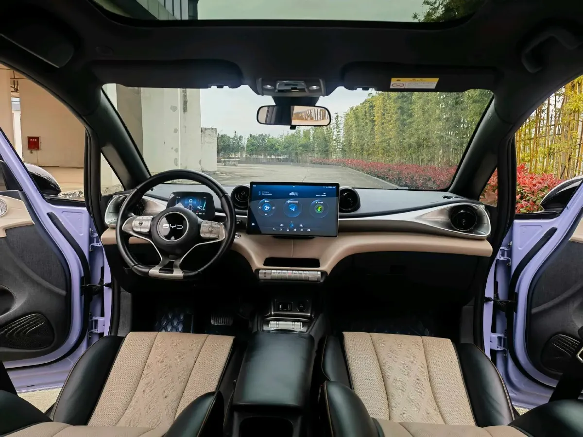 2023 BYD Dolphin BEV 44.928KWH,autocango,china used car exporter,china ev exporter,chinese used car exporter,chinese used ev exporter