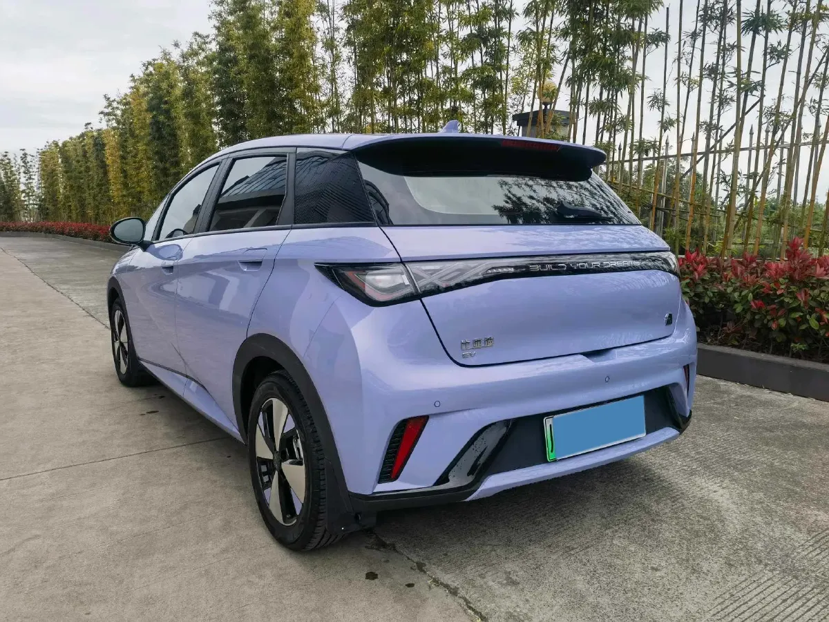 2023 BYD Dolphin BEV 44.928KWH,autocango,china used car exporter,china ev exporter,chinese used car exporter,chinese used ev exporter