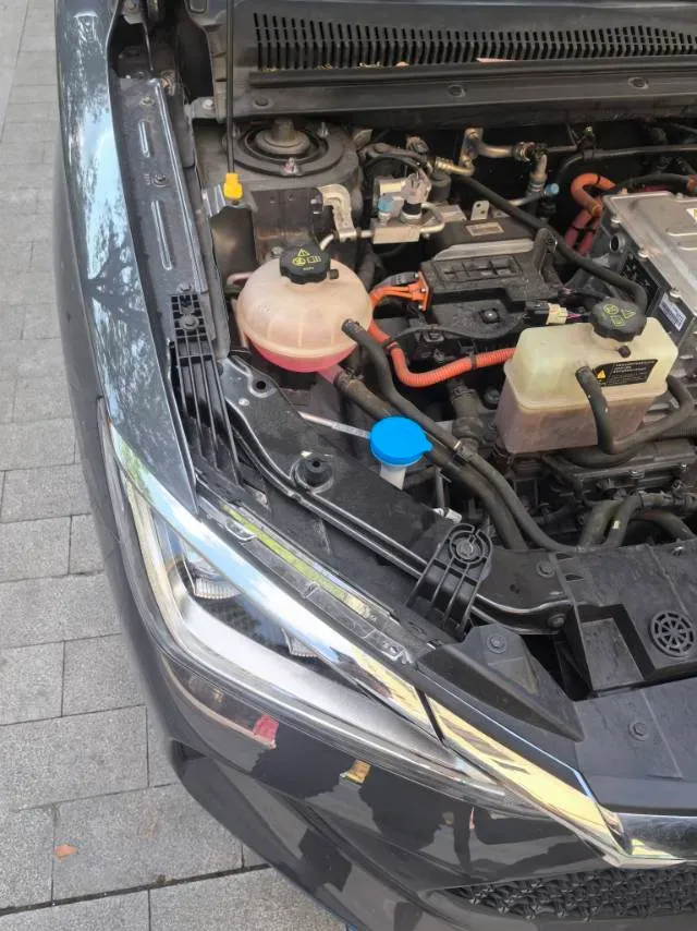 2021 BYD Dolphin BEV 30.7KWH,autocango,china used car exporter,china ev exporter,chinese used car exporter,chinese used ev exporter