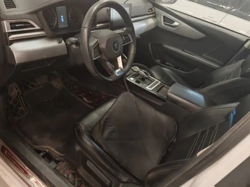 2019 BYD Qin BEV 53.1KWH,autocango,china used car exporter,china ev exporter,chinese used car exporter,chinese used ev exporter