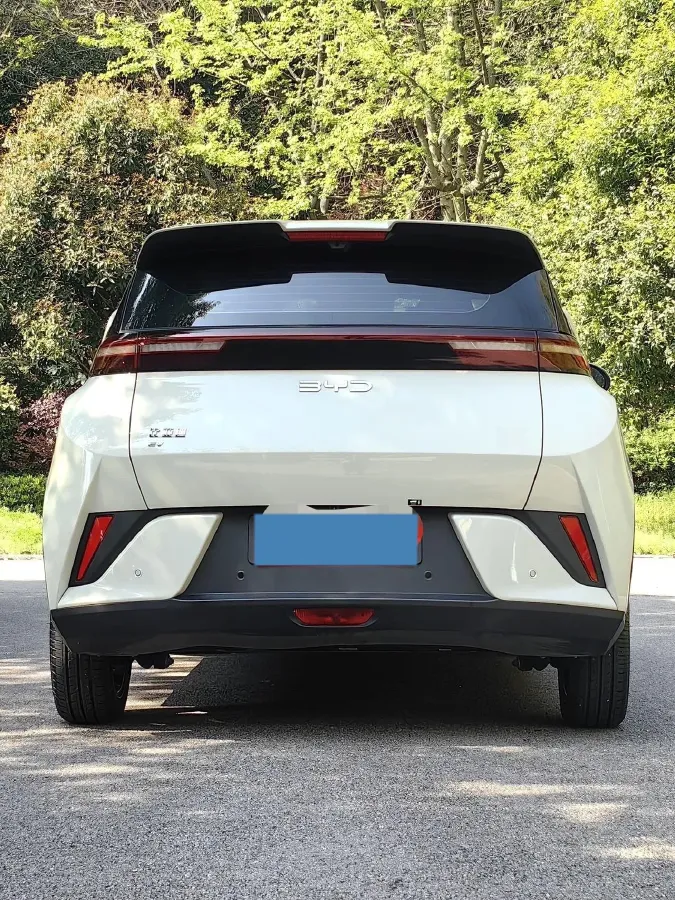 2025 BYD Seagull BEV 30.08KWH,autocango,china used car exporter,china ev exporter,chinese used car exporter,chinese used ev exporter