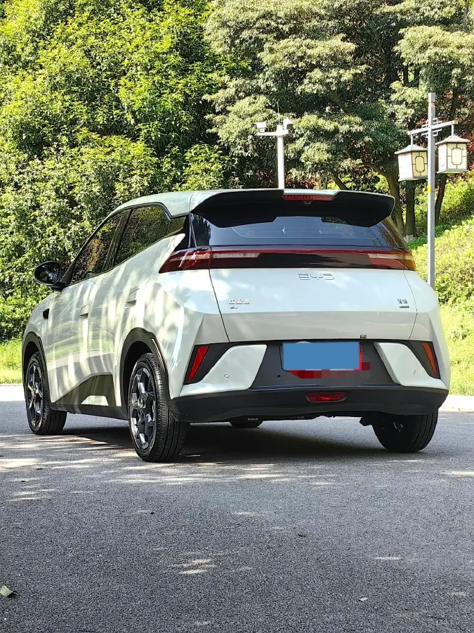 2025 BYD Seagull BEV 30.08KWH,autocango,china used car exporter,china ev exporter,chinese used car exporter,chinese used ev exporter