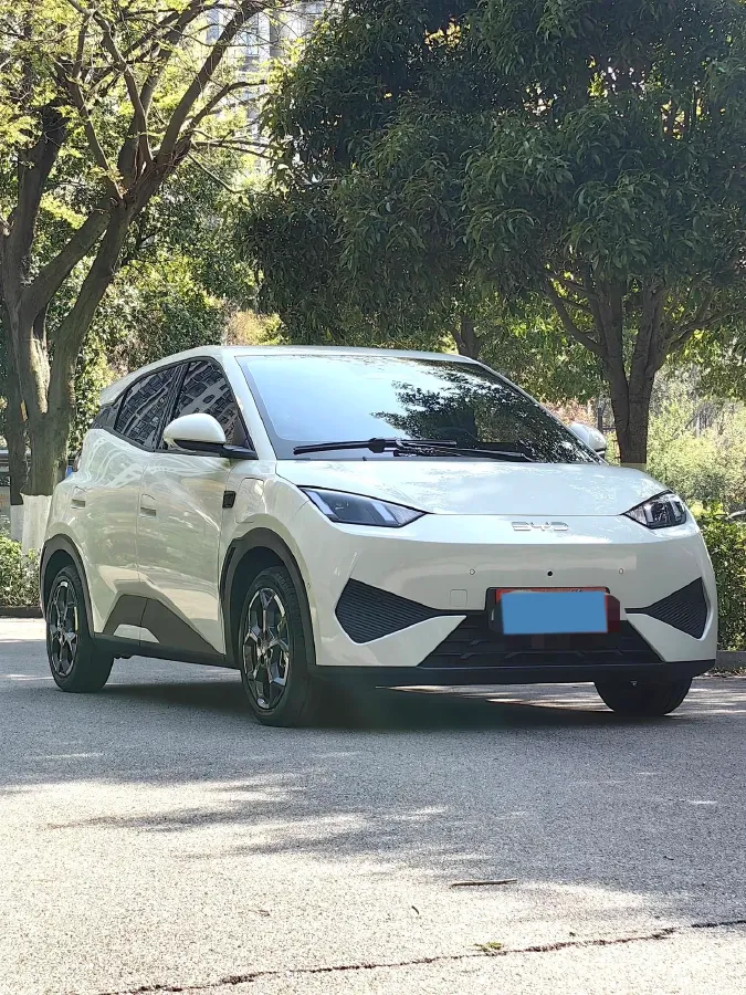 2025 BYD Seagull BEV 30.08KWH,autocango,china used car exporter,china ev exporter,chinese used car exporter,chinese used ev exporter