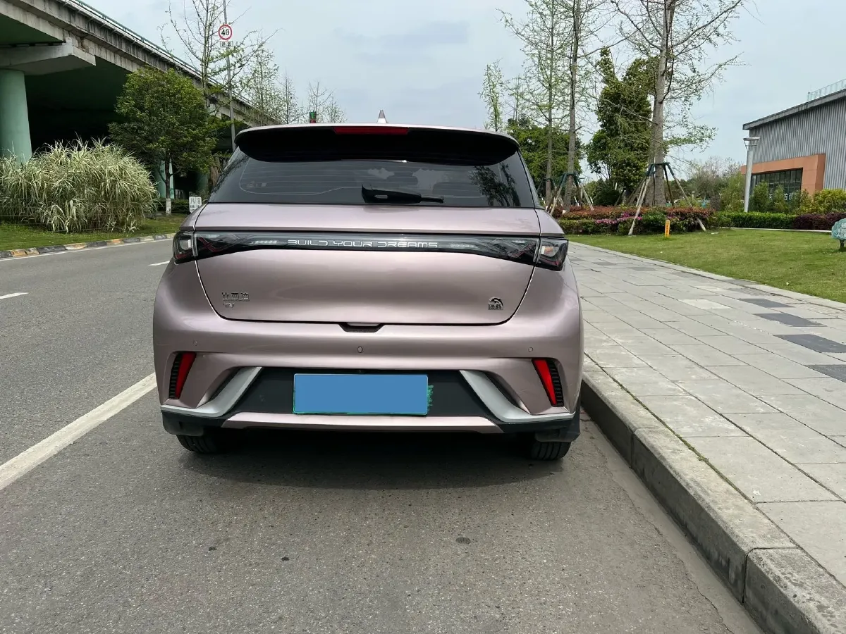 2023 BYD Dolphin BEV 44.928KWH,autocango,china used car exporter,china ev exporter,chinese used car exporter,chinese used ev exporter