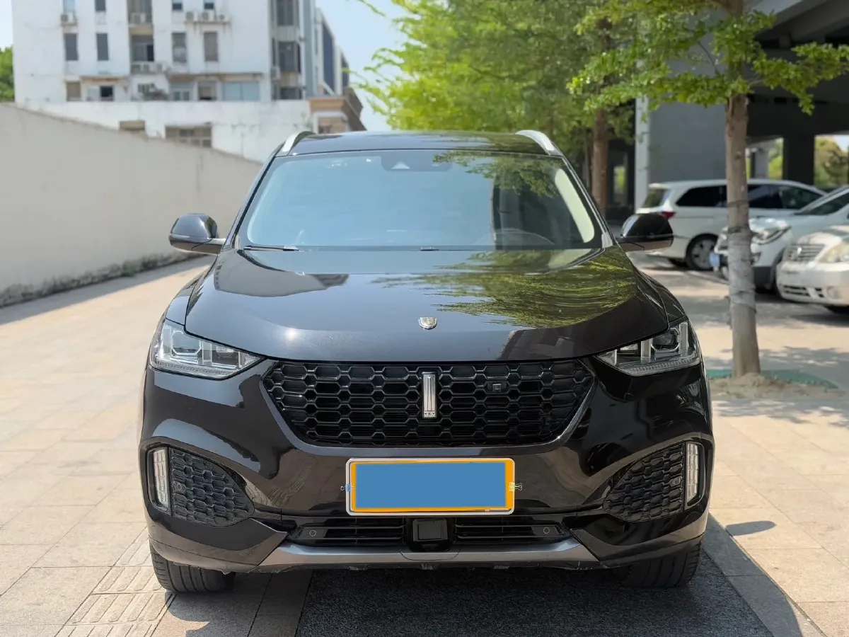 2018 WEY VV6 2.0T 197HP L4 7DCT,autocango,china used car exporter,china ev exporter,chinese used car exporter,chinese used ev exporter