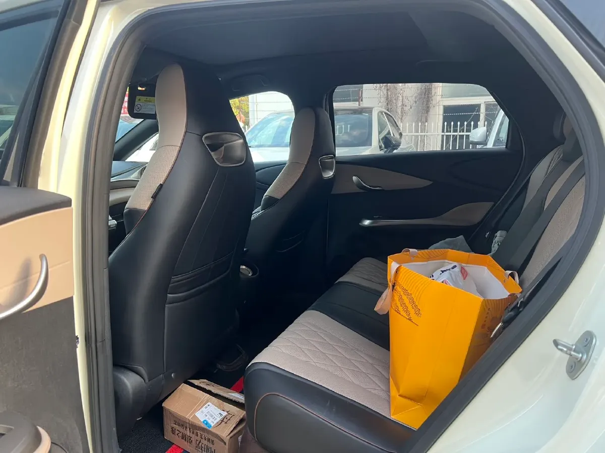 2021 BYD Yuan Pro BEV 50.1KWH,autocango,china used car exporter,china ev exporter,chinese used car exporter,chinese used ev exporter