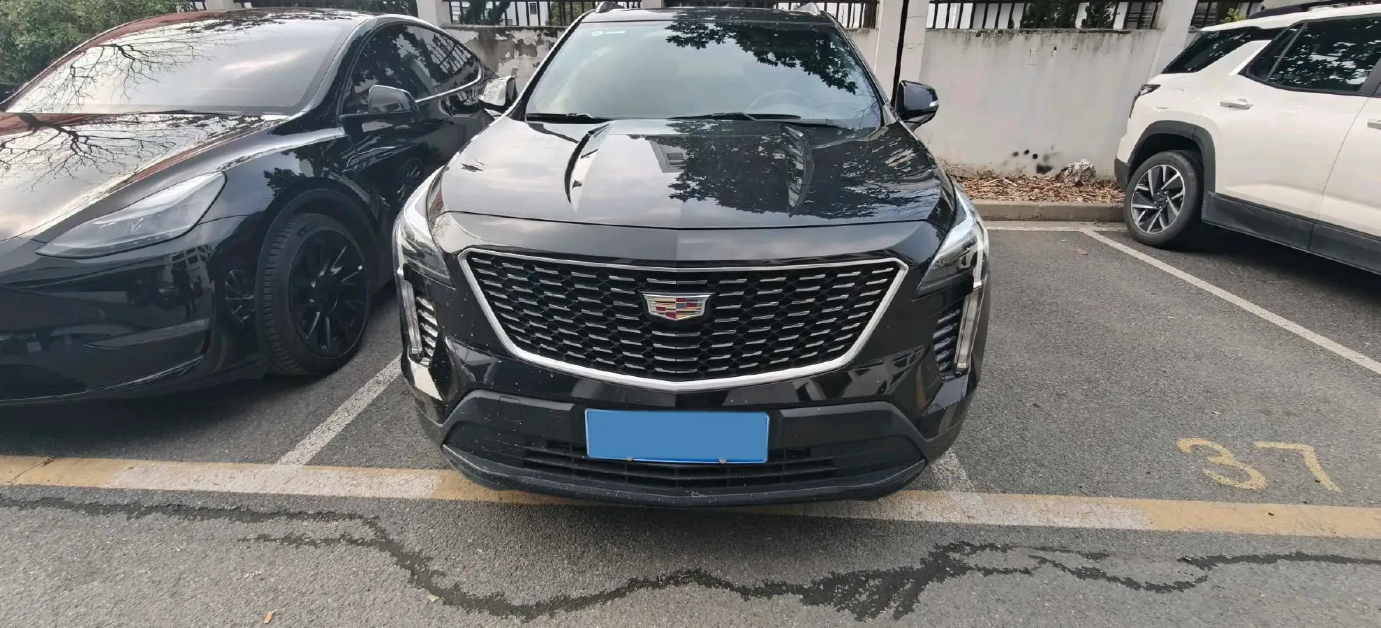 2022 Cadillac XT4 2.0T 237HP L4 9AT,autocango,china used car exporter,china ev exporter,chinese used car exporter,chinese used ev exporter