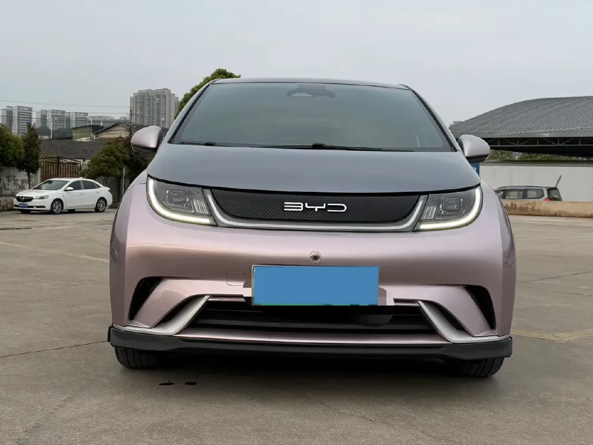2021 BYD e2 BEV 43.2KWH,autocango,china used car exporter,china ev exporter,chinese used car exporter,chinese used ev exporter
