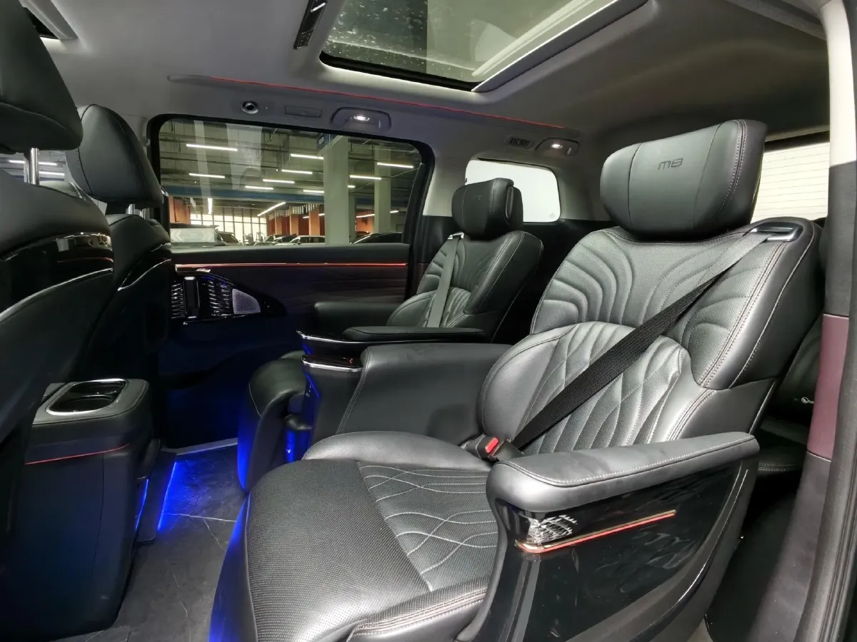 2024 GAC Trumpchi M8 2.0T 252HP L4 8AT,autocango,china used car exporter,china ev exporter,chinese used car exporter,chinese used ev exporter