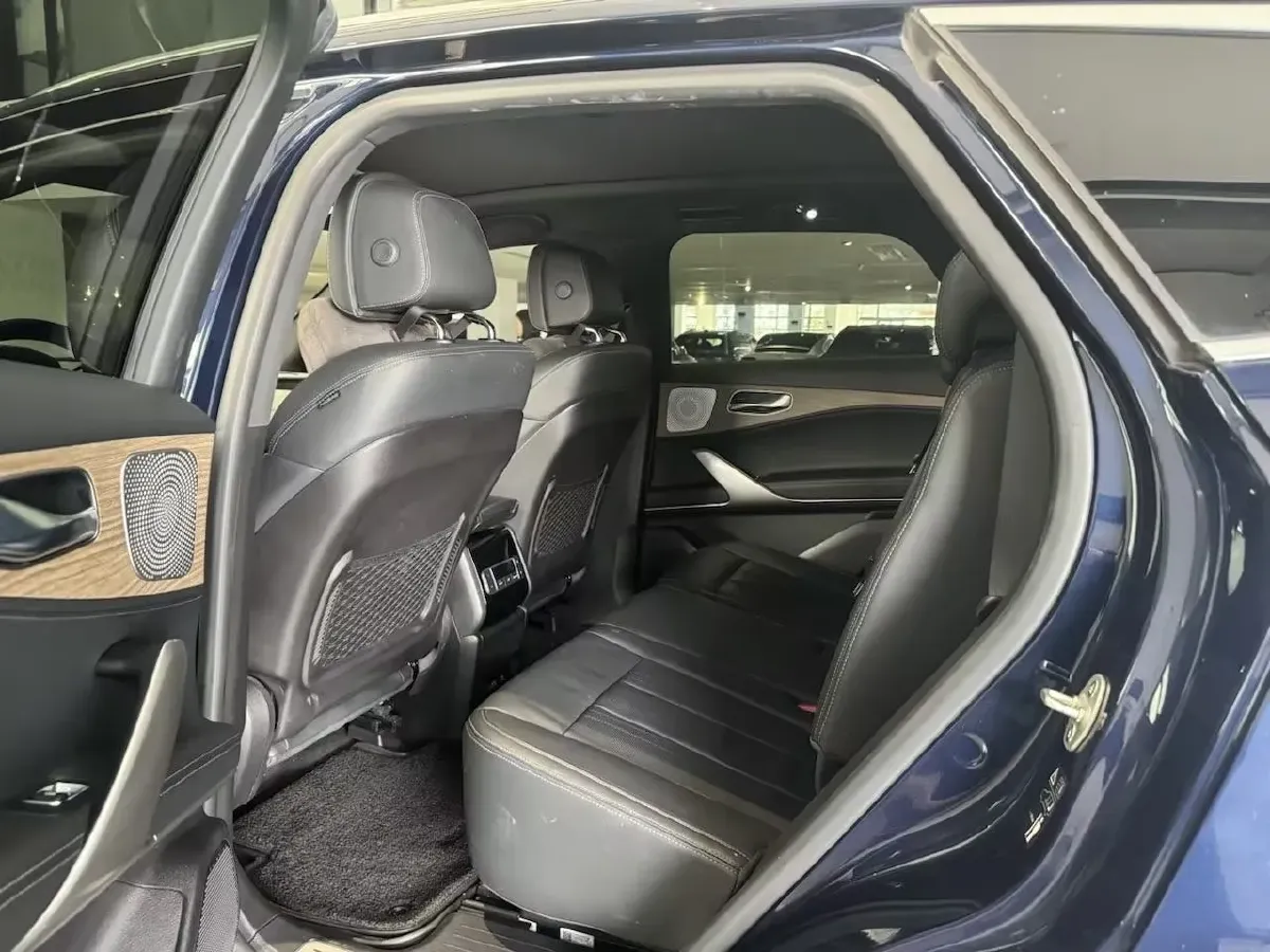 2020 Denza X 2.0T 192HP L4 6DCT PHEV 24KWH,autocango,china used car exporter,china ev exporter,chinese used car exporter,chinese used ev exporter