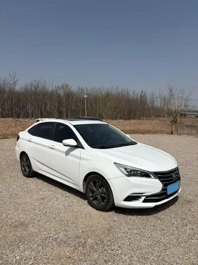 2019 ChangAn Eado DT 1.6L 125HP L4 5MT,autocango,china used car exporter,china ev exporter,chinese used car exporter,chinese used ev exporter