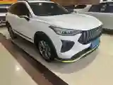 2022 Haval Rabbit 1.5T 150HP L4 7DCT