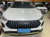 2022 Haval Rabbit 1.5T 150HP L4 7DCT