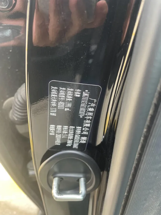 2024 GAC Trumpchi GS8 2.0T 252HP L4 8AT,autocango,china used car exporter,china ev exporter,chinese used car exporter,chinese used ev exporter