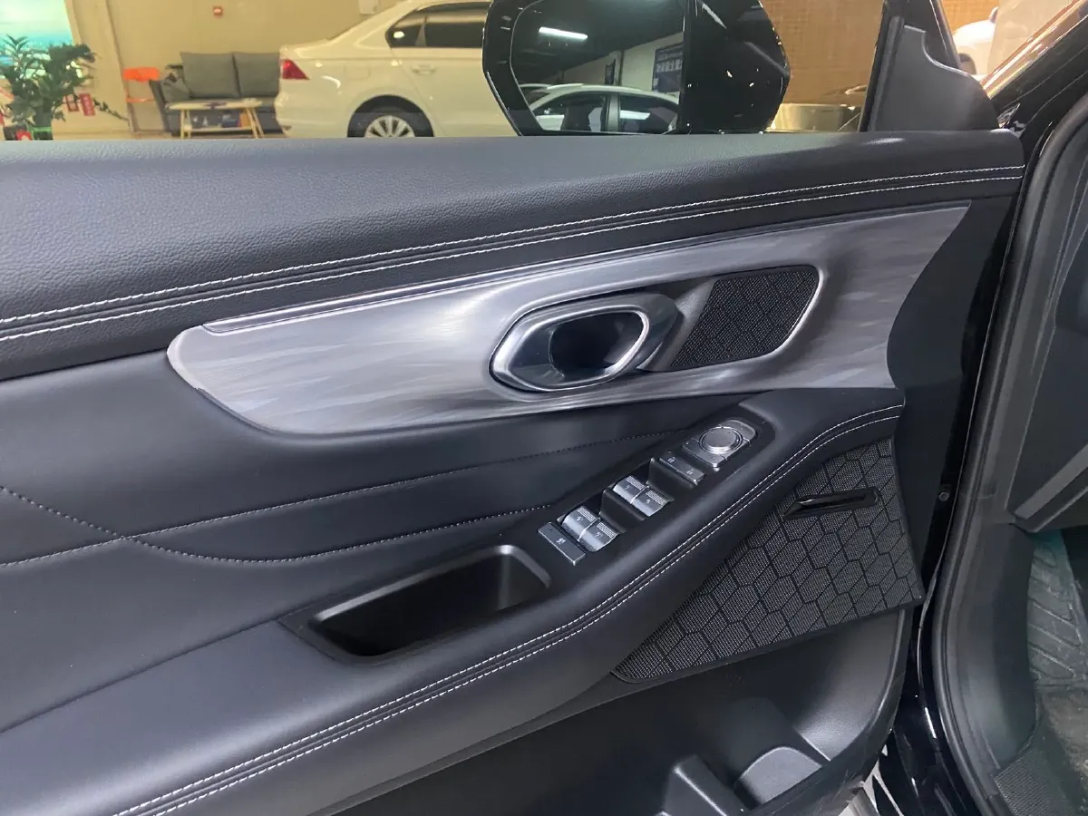 2025 GAC Trumpchi GS8 2.0T 252HP L4 8AT,autocango,china used car exporter,china ev exporter,chinese used car exporter,chinese used ev exporter