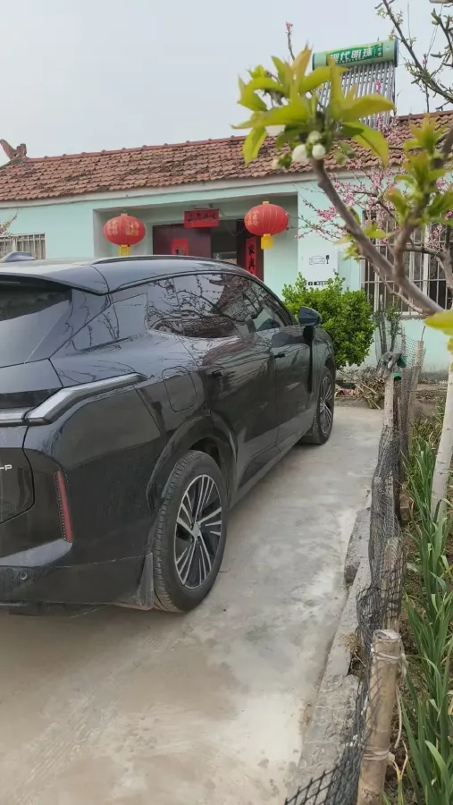 2025 LYNK&CO 08 EM-P 1.5T 163HP L4 3DHT PHEV 39.6/39.8KWH,autocango,china used car exporter,china ev exporter,chinese used car exporter,chinese used ev exporter