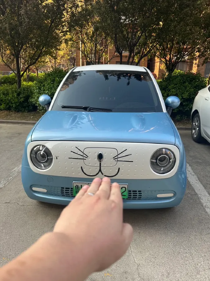 2021 Ora BlackCat BEV 28.5KWH,autocango,china used car exporter,china ev exporter,chinese used car exporter,chinese used ev exporter