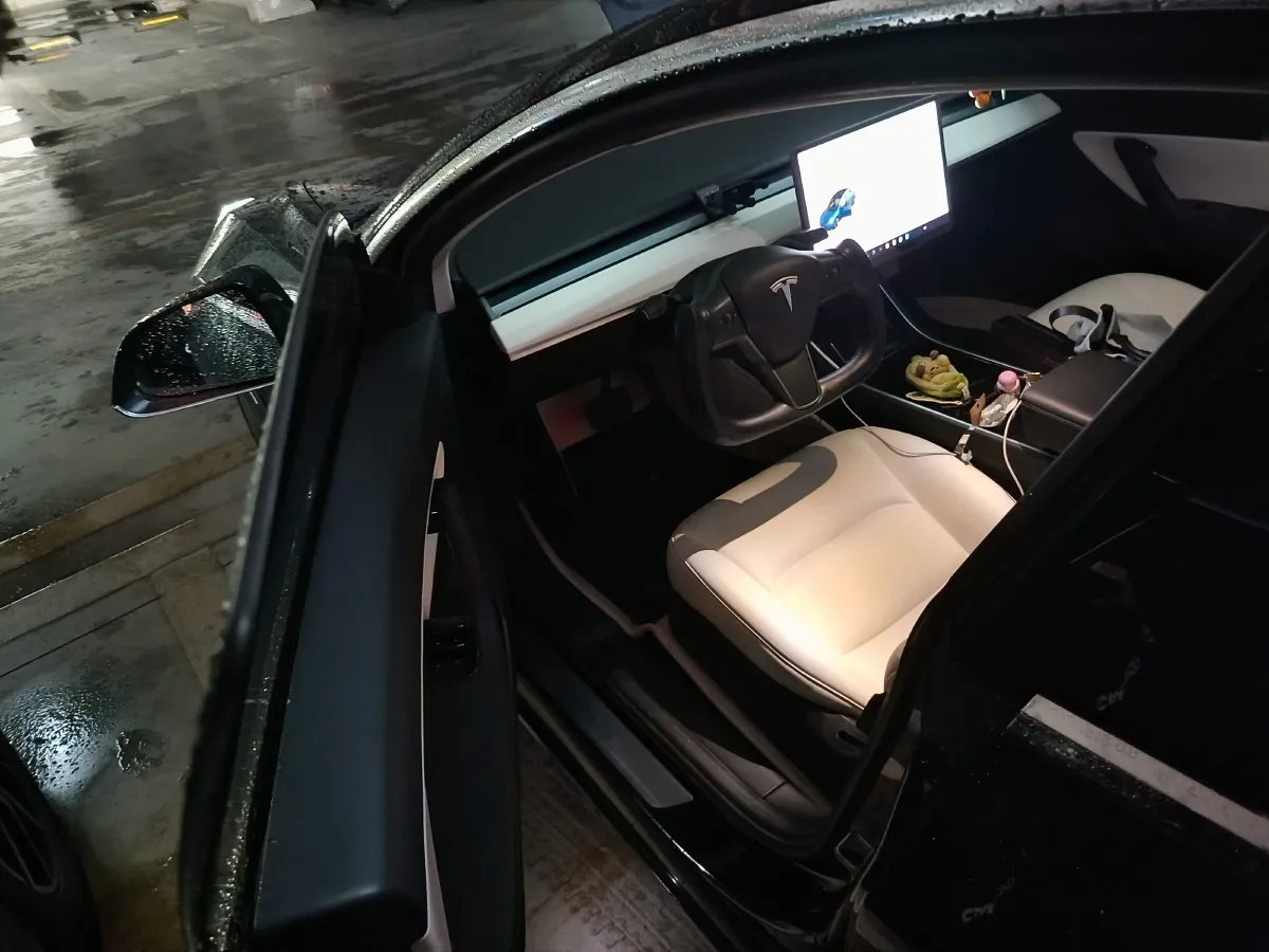 2020 Tesla Model 3 BEV 52KWH,autocango,china used car exporter,china ev exporter,chinese used car exporter,chinese used ev exporter