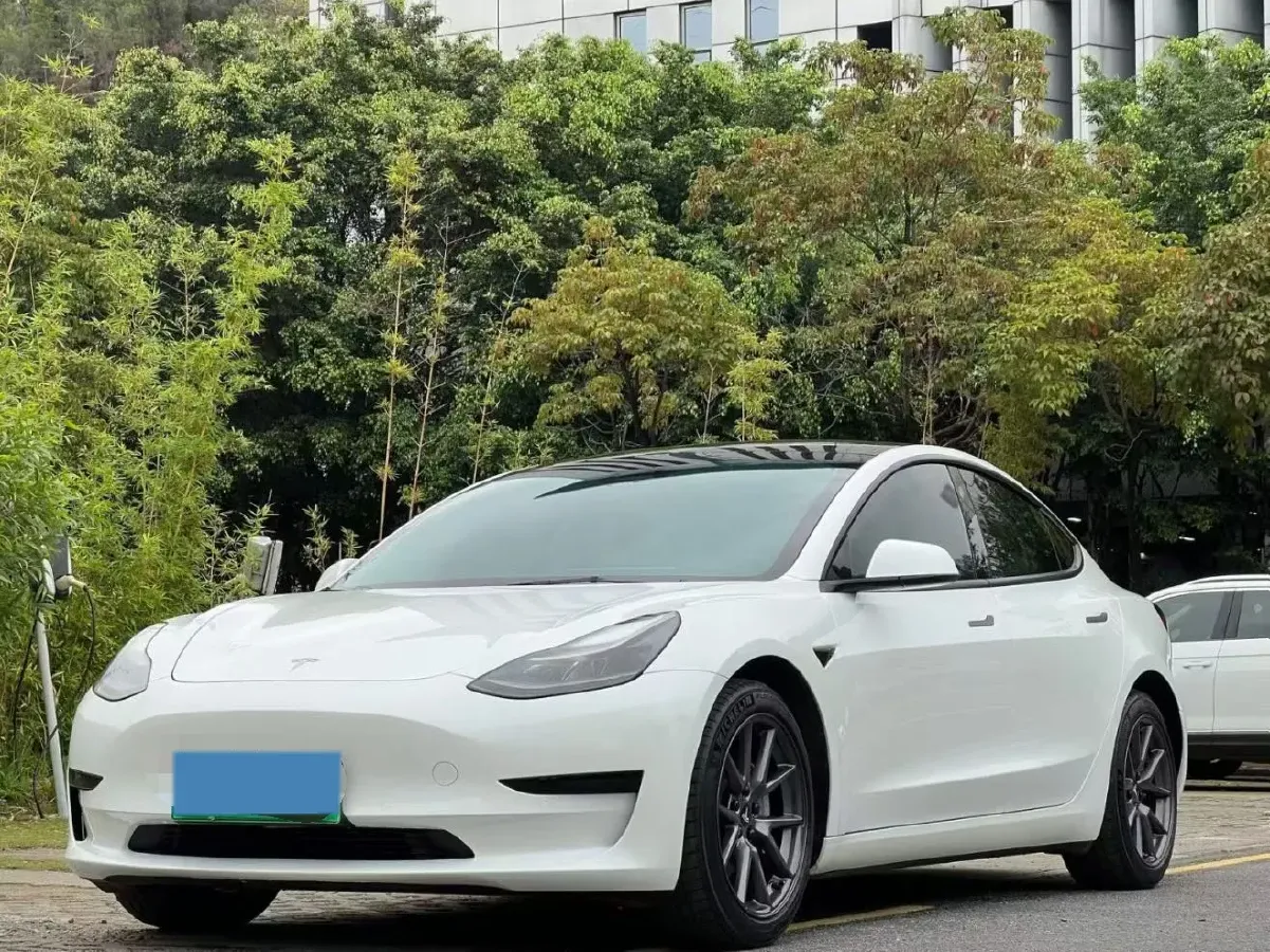 2022 Tesla Model 3 BEV 60KWH,autocango,china used car exporter,china ev exporter,chinese used car exporter,chinese used ev exporter