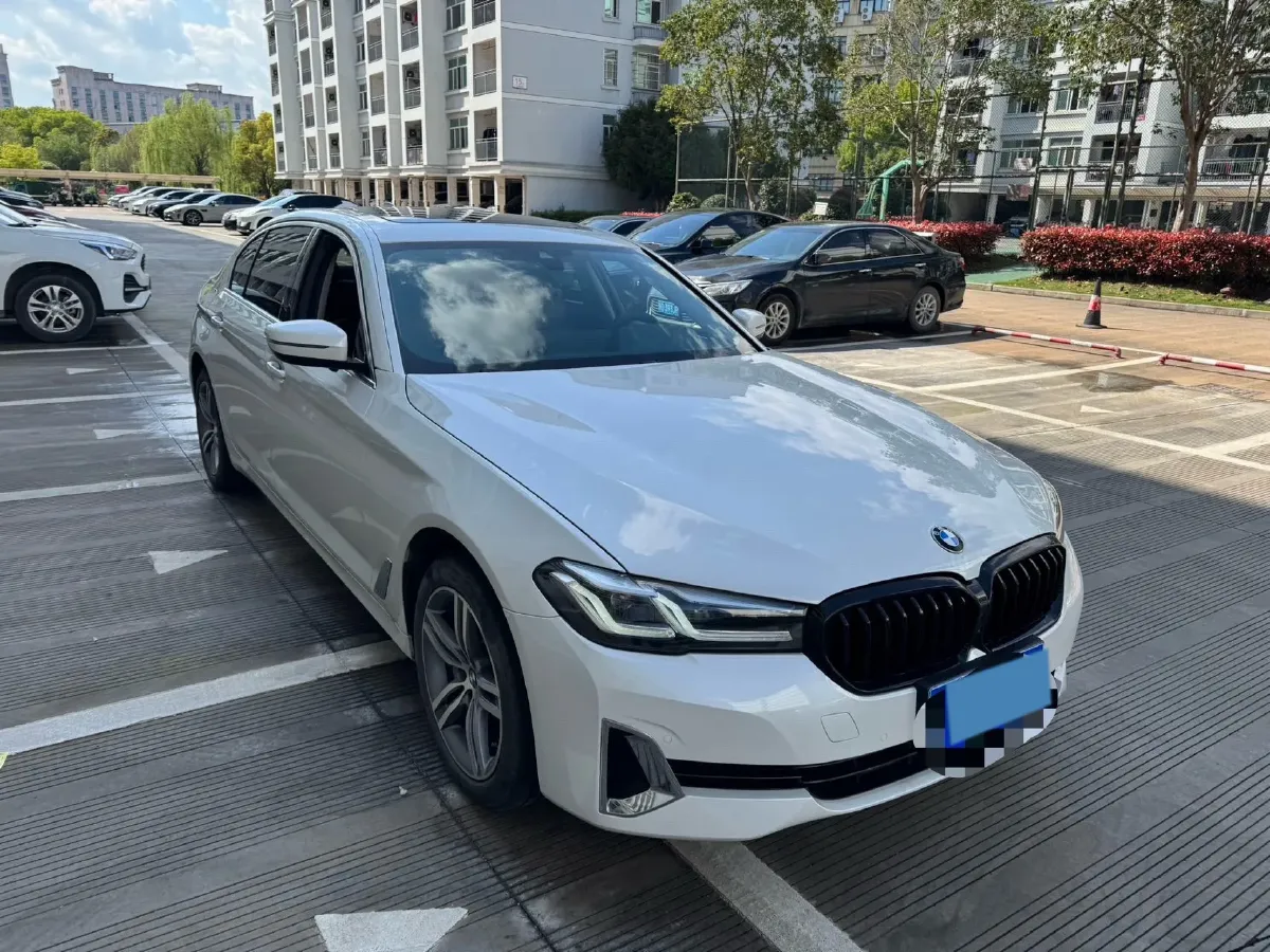2021 BMW 5 Series 2.0T 252HP L4 8AT,autocango,china used car exporter,china ev exporter,chinese used car exporter,chinese used ev exporter