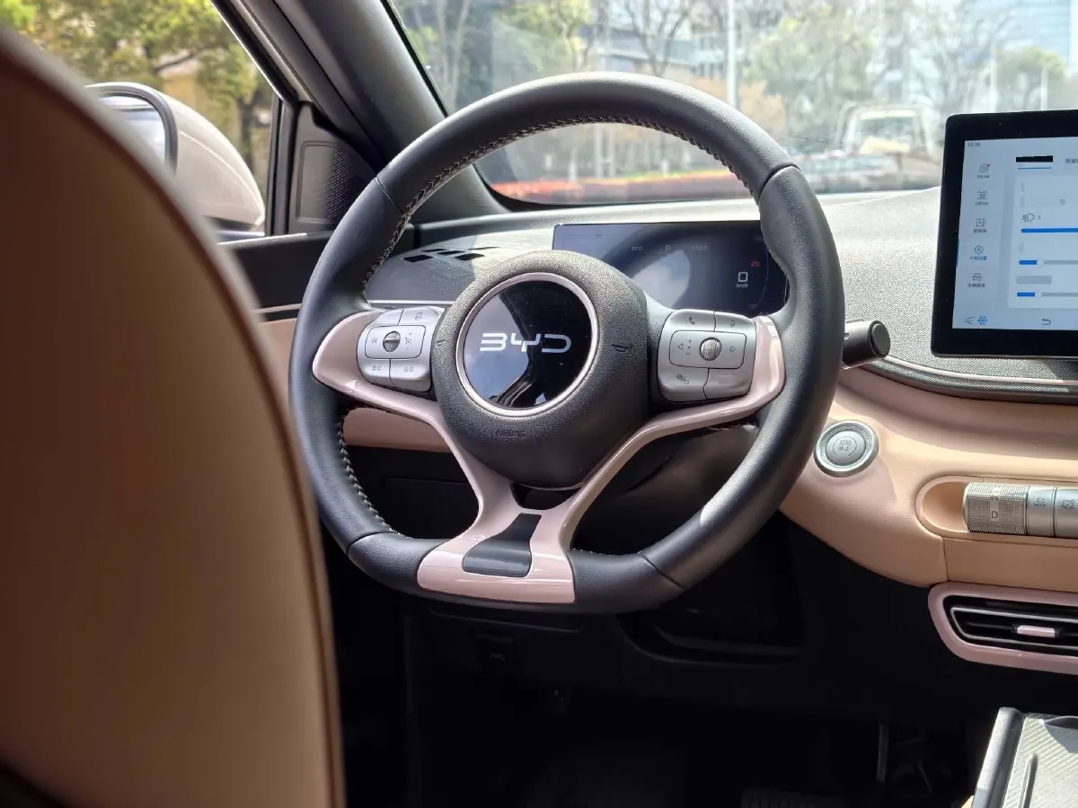 2025 BYD Seagull BEV 30.08KWH,autocango,china used car exporter,china ev exporter,chinese used car exporter,chinese used ev exporter