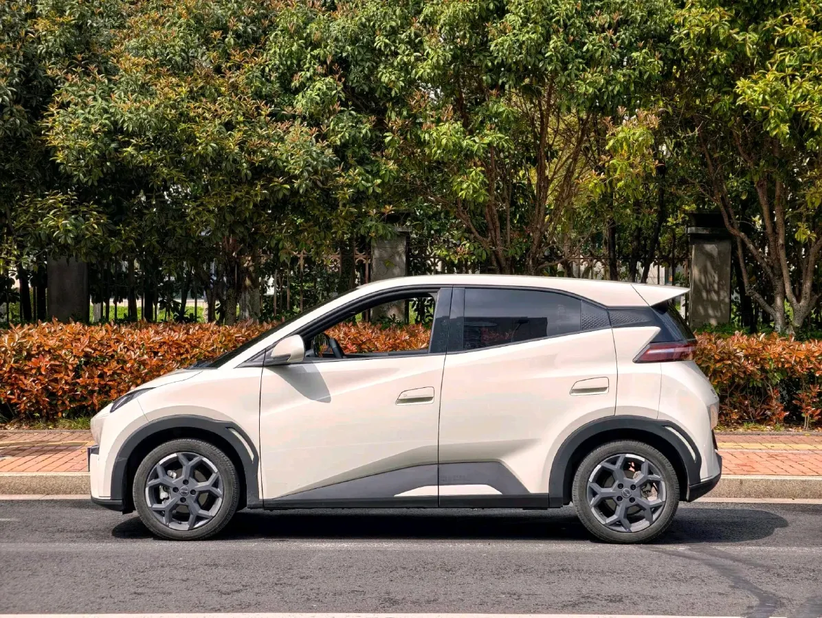 2025 BYD Seagull BEV 30.08KWH,autocango,china used car exporter,china ev exporter,chinese used car exporter,chinese used ev exporter