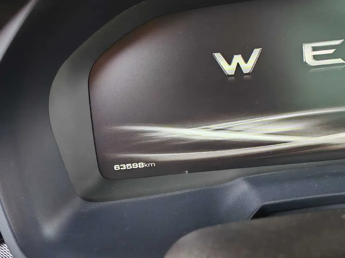 2018 WEY P8 2.0T 234HP L4 6DCT PHEV 12.96KWH,autocango,china used car exporter,china ev exporter,chinese used car exporter,chinese used ev exporter